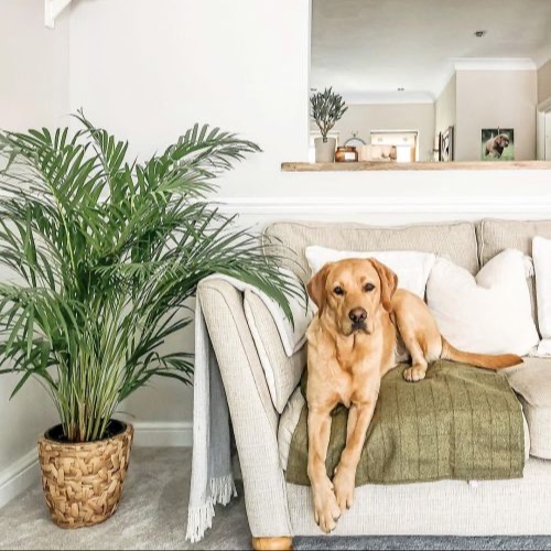 Styling your sofa