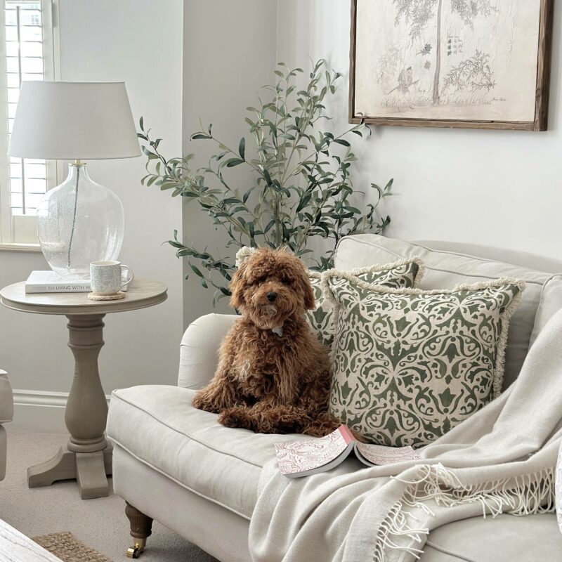 Neutral sofa with a cute brown dog sitting on and the Burleigh pedestal table in the background. 
