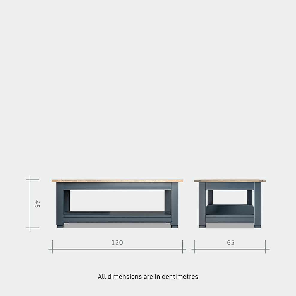 Richmond Smoked Oak Finish and Ink Blue Painted Hardwood Coffee Table 8