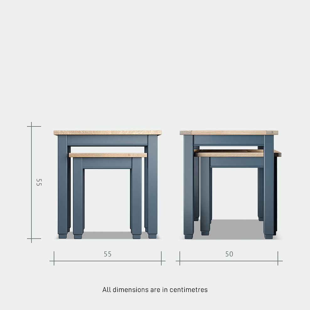Richmond Smoked Oak Finish and Ink Blue Painted Hardwood Nest of Tables 8